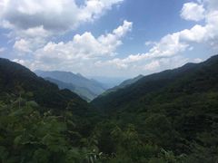 -牛背梁国家森林公园