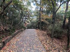-苏州上方山国家森林公园