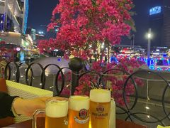 -Paulaner·德国帕拉娜自酿啤酒餐厅(海上世界店)