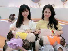 -猪盟咖啡店(玖洲道店)