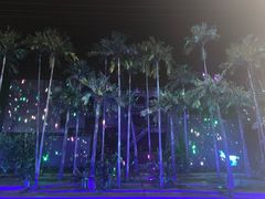 -三亚红色娘子军演艺公园景区