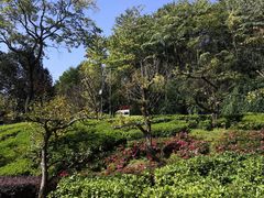 -阿哈湖国家湿地公园