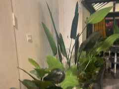 -宋徽厨·安徽菜(安庆绿地店)