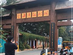 -北海金海湾红树林生态旅游区