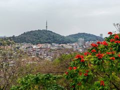 -佛山华盖山公园