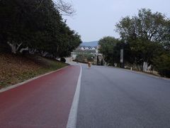 -龙寺生态园