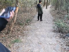 -紫金山山顶公园