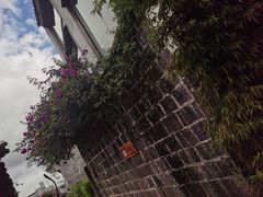 -无有景观餐厅·铜瓢牛肉·下午茶