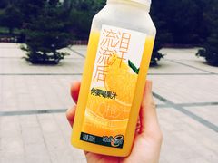 -太原动物园