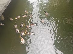 -浙江省博物馆(孤山馆区)