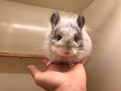 -龙猫仔乐园(惠福东路店)