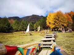 -硗碛藏寨·神木垒景区