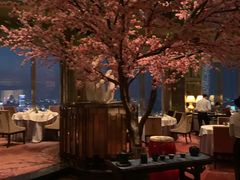 -金轩中餐厅 Jin Xuan(浦东丽思卡尔顿酒店)