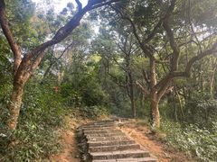 -黄埔油麻山森林公园