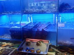 水产区-捞围鲜·港式打边炉(海阳路店)