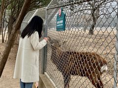 -西安秦岭野生动物园