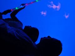 -合肥海洋世界