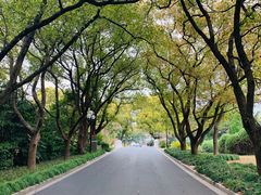 -西郊宾馆·1921餐厅
