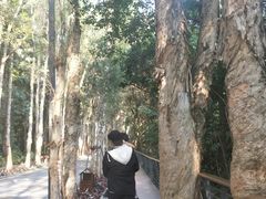 -福清灵石山国家森林公园