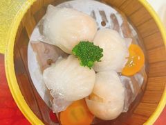 -大班家政月嫂育儿嫂(深圳NO.1店)
