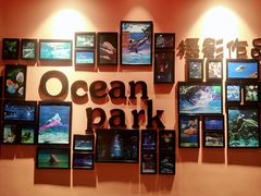 -石家庄海洋公园
