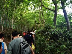 -上海佘山国家森林公园西佘山园