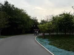 -毛遂公园