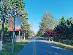 -永定河休闲森林公园