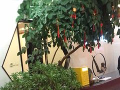 -泰山廊亦舫(丽景店)