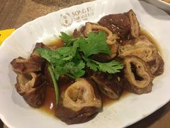 -松發肉骨茶(牛车水店)