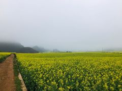 -牛街螺丝田
