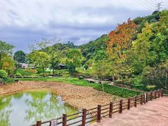 -黄公望隐居地