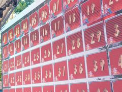 -南湖梦幻岛