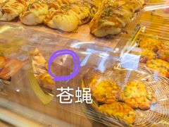 -BreadTalk面包新语·烘焙蛋糕(高德置地春广场店)