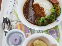 -富田农场