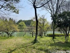 -西溪国家湿地公园