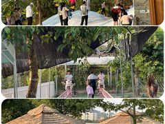-长洲岛都市农业公园
