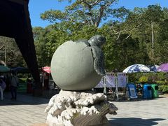 -广东惠东海龟国家级自然保护区