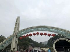 -南山植物园
