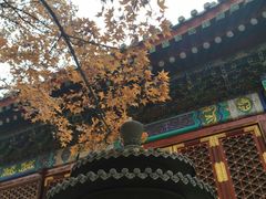 -香山公园