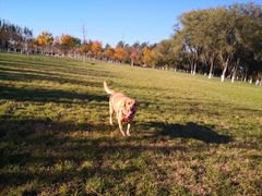 -瀛海足球主题公园