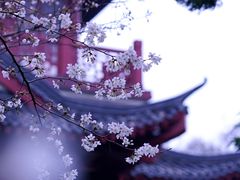 -堤角公园