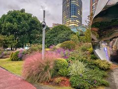 -北外滩滨江绿地