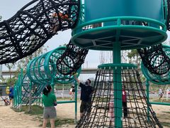 -永定河休闲森林公园