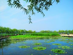 -绿堤公园