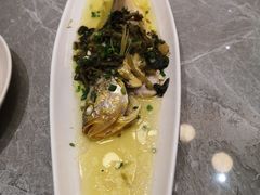 -老绍兴养和饭店(向阳不夜城店)