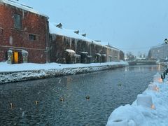 -小樽运河广场(運河プラザ)