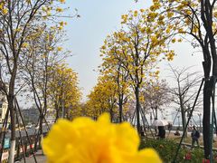 -洲头咀公园
