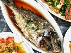 -七鲜渔港美食餐厅(巽寮湾海景店)