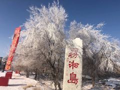 -雾凇岛